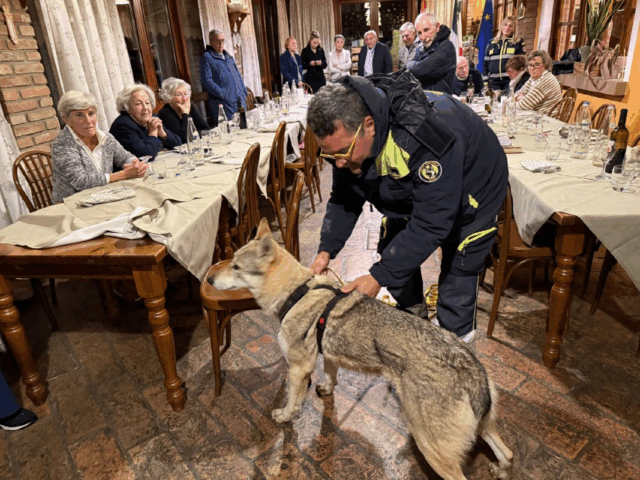 Cani molecolari in azione: una serata spettacolare con le unità cinofile da ricerca
