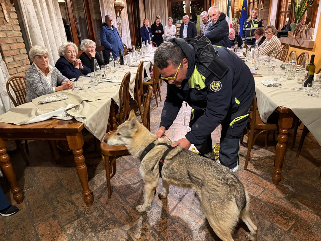 Cani molecolari in azione: una serata spettacolare con le unità cinofile da ricerca
