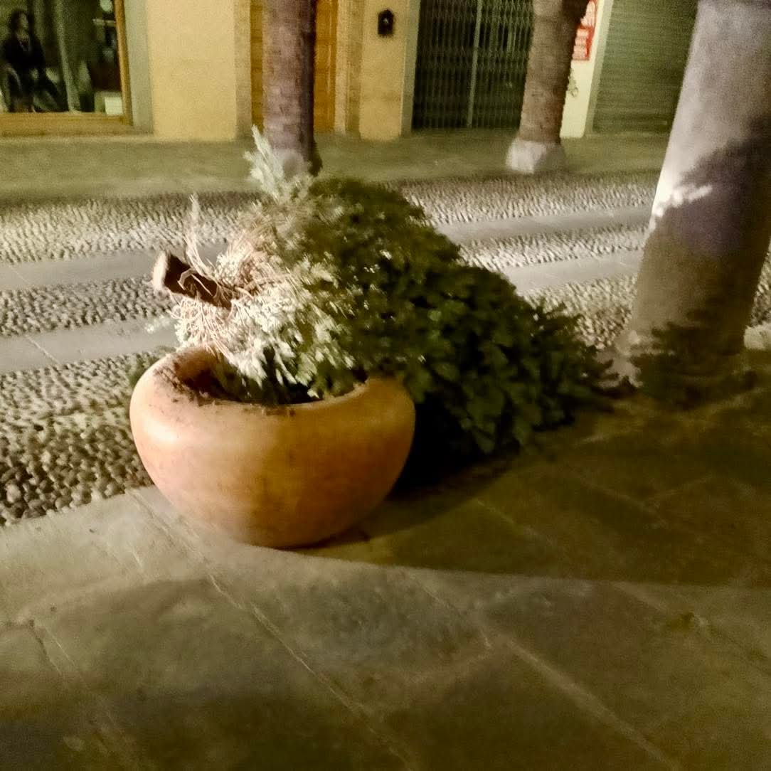Vandalismo nel cuore di Romano, scatta la linea dura