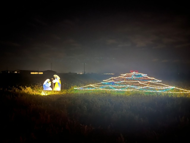 Un maxi albero di Natale sull’esempio di Gubbio