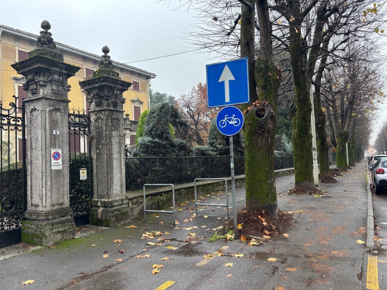 Da Regione Lombardia 100mila euro per il viale alberato martinenghese