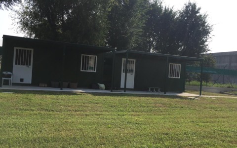 La StraGatti R rinuncia all’Oasi Felina: svolta epocale a Romano, il Comune garantisce continuità