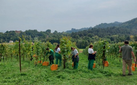 Dalla scuola al lavoro: scopri il futuro dell’agroalimentare a Castel Cerreto (Treviglio)
