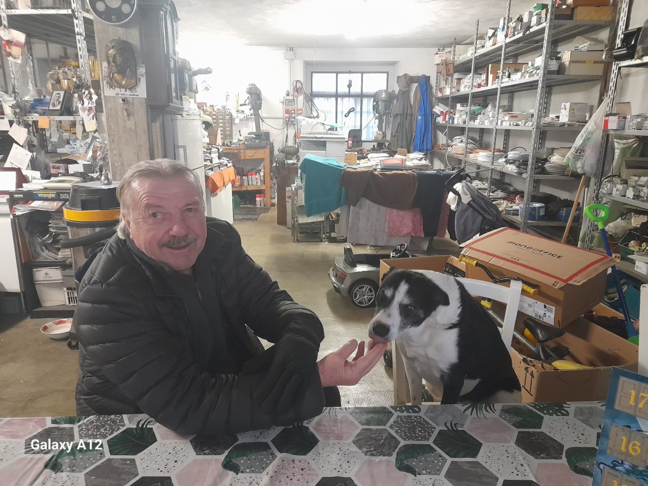 La singolare giornata di Mr. Jack, un pontirolese doc a quattro zampe