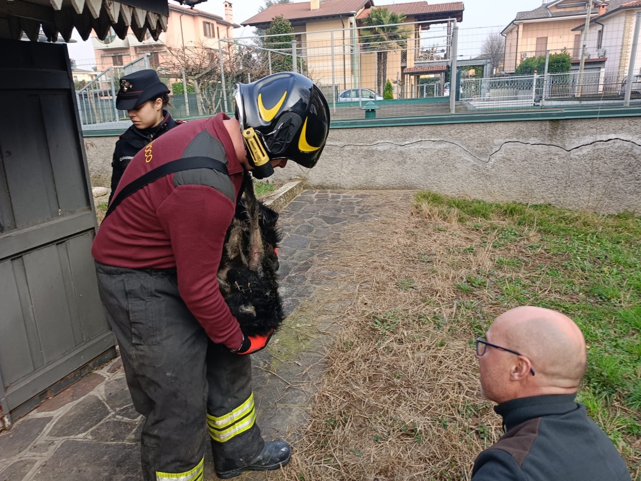 Scoppia un incendio mentre in casa ci sono due cagnolini soli: salvati