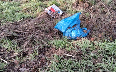 Abbandona rifiuti nei campi, ma viene rintracciato e multato grazie ai documenti nei sacchi