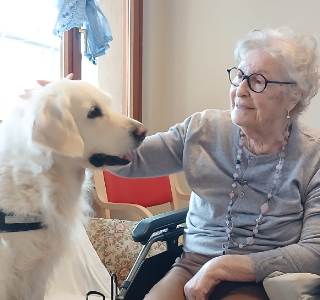 Riparte la pet therapy alla Rsa Aresi