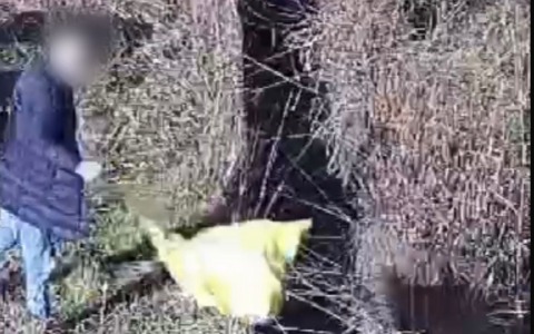 Antegnate: scoperto maxi scarico abusivo grazie alle foto trappole