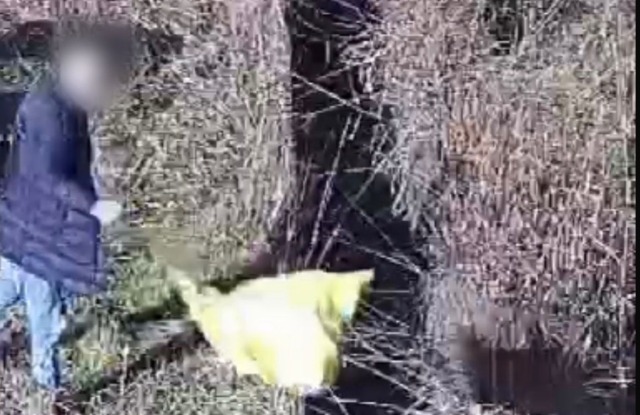 Antegnate, scoperto maxi scarico abusivo grazie alle fototrappole