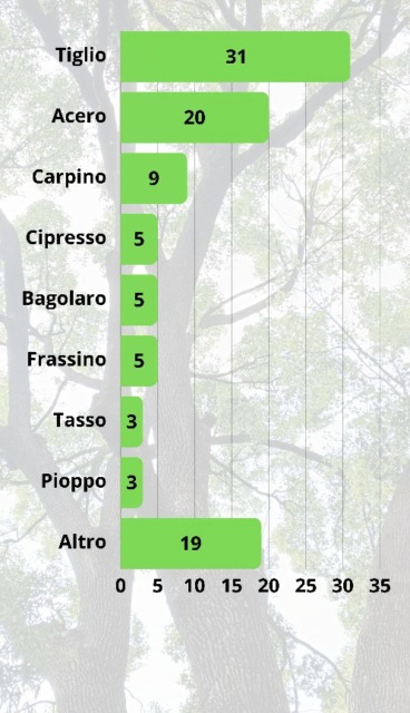 Censimento arboreo