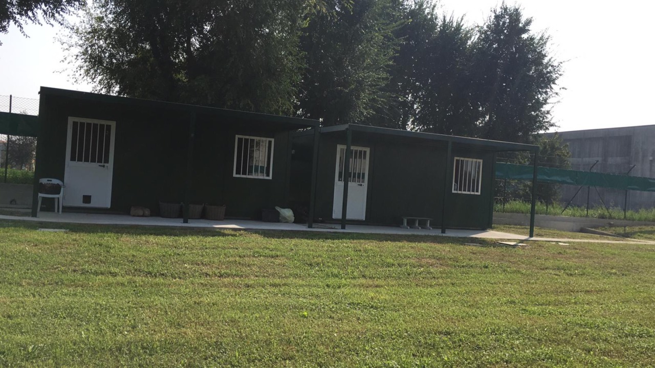 Cambio di gestione all’Oasi Felina di Romano: dopo Stragatti R arriva Enpa