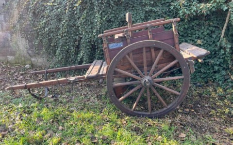 Un nuovo carretto per gli “Amici di Matilde”: Pasqua di rinascita dopo il furto