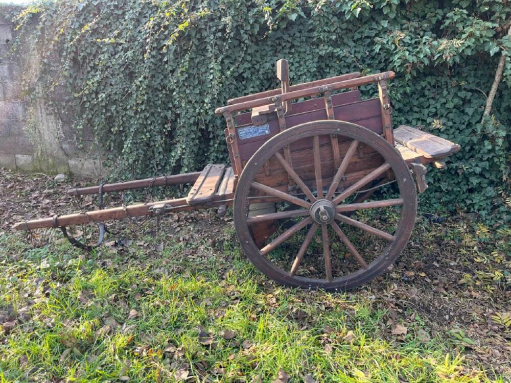 Un nuovo carretto per gli “Amici di Matilde”: Pasqua di rinascita dopo il furto