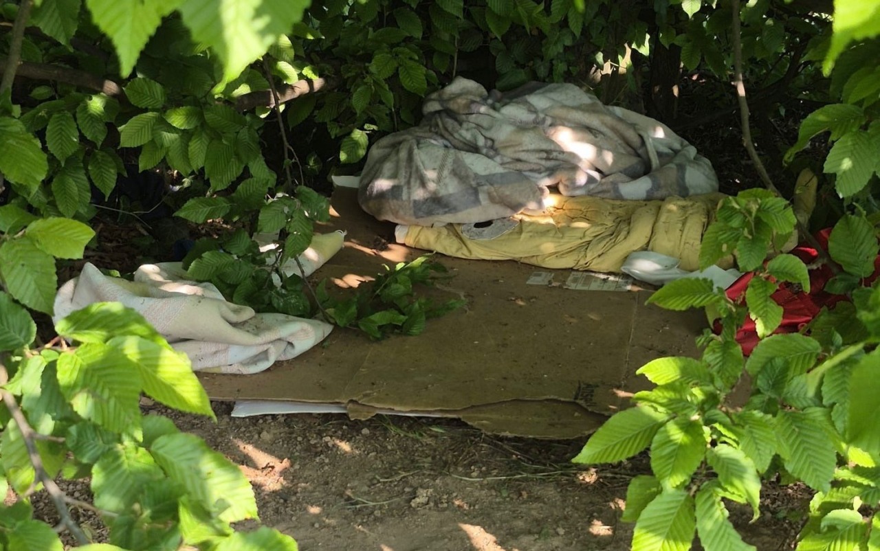 Abusivismo nel Parco dei Fontanili: scoperto dormitorio nascosto, scatta la bonifica immediata