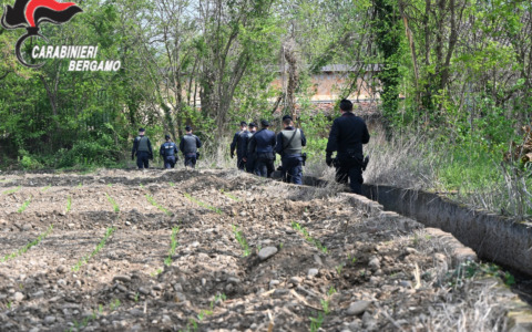 Scattano i controlli dei carabinieri, Cascina Motta e Cascina Bosco sorvegliate speciali