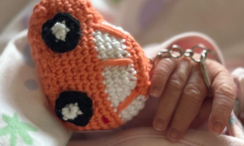 “Il filo che unisce” per legare Croce rossa e Lions Club nel segno della solidarietà