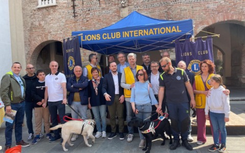 I “superpoteri” dei cani guida: da Limbiate a Romano un aiuto che cambia la vita