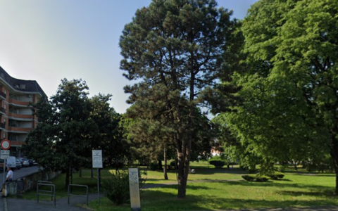 Lotta alla droga, il sindaco Arcari propone il Daspo urbano per gli spacciatori