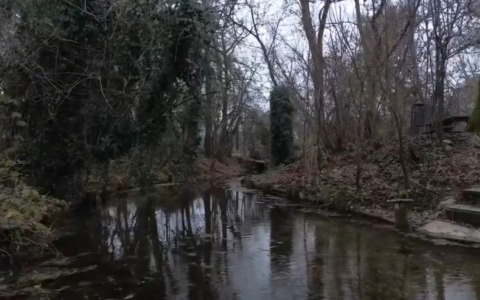 È scontro aperto tra il Comune e il Gep sull’acquisizione del “Bosco del Manzù”
