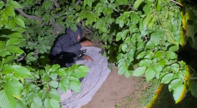 Nel buio del Parco dei Fontanili ad Antegnate spunta un uomo nascosto tra le piante