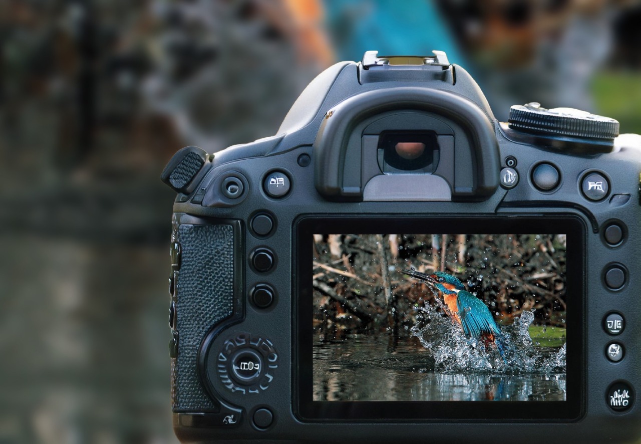 “Sotto e sopra l’acqua”: al via il 23° concorso fotografico del parco Oglio Nord