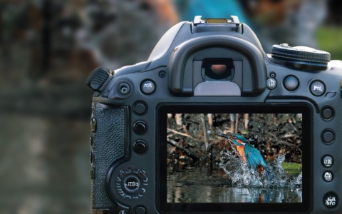 “Sotto e sopra l’acqua”: al via il 23° concorso fotografico del parco Oglio Nord