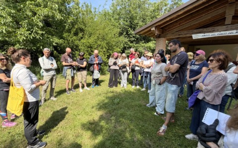 Un pomeriggio con Slow Food alla scoperta delle erbe spontanee e del loro uso in cucina