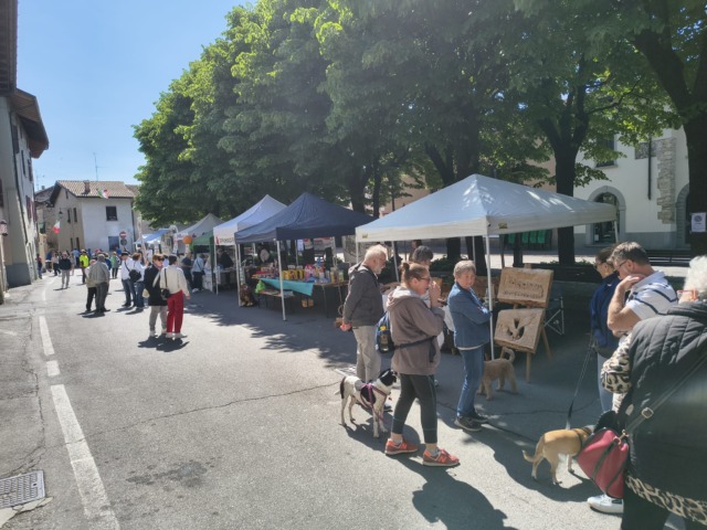 Associazioni in piazza