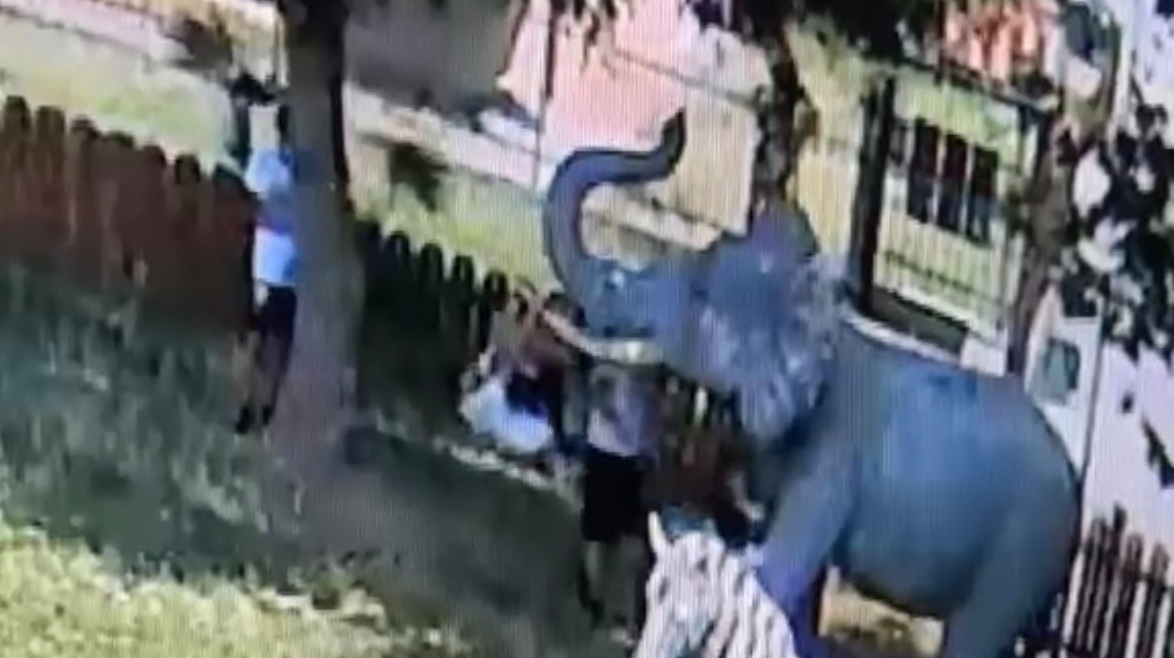 Antegnate, violato il Parco degli Animali: adulti e bambini ignorano i divieti