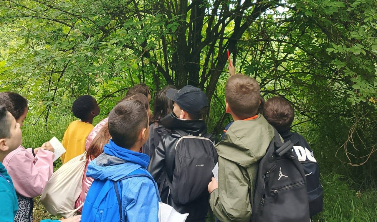 Educazione ambientale nel Bosco San Gherardo: si conclude il progetto con WWF Oasi Valpredina-Misma