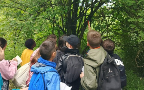 Educazione ambientale nel Bosco San Gherardo: si conclude il progetto con WWF Oasi Valpredina-Misma