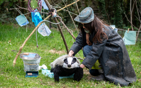 “Tracce” porta in scena cultura e inclusione all’ombra del bosco di Lurano
