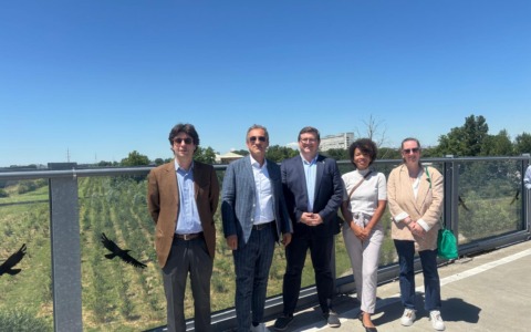 Un investimento per il futuro: il bosco urbano tra Treviglio e Caravaggio continua a crescere