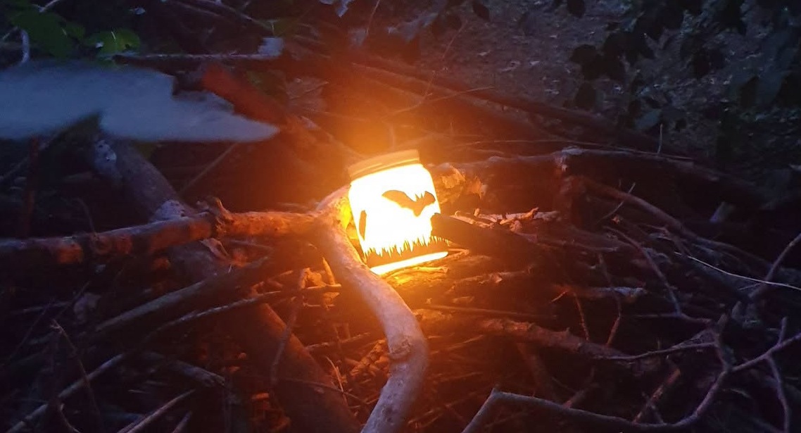 “Bat Night” al bosco San Gherardo a Covo, successo per la prima edizione: alla scoperta dei pipistrelli e della biodiversità