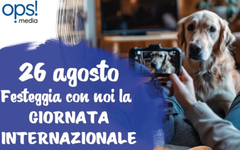 Festeggia la Giornata internazionale del cane con il Giornale di Treviglio e OPS Media