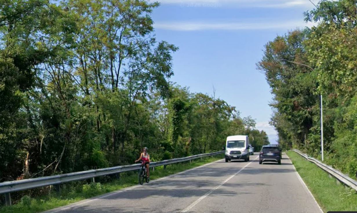 Gli alberi sul cavalcavia dell’ospedale a Treviglio verranno abbattuti