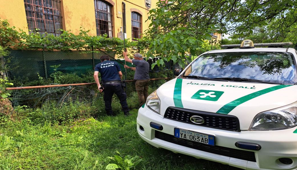 Sorpresa mentre abbandonava rifiuti nella roggia a Treviglio. Scattano denuncia e sanzioni