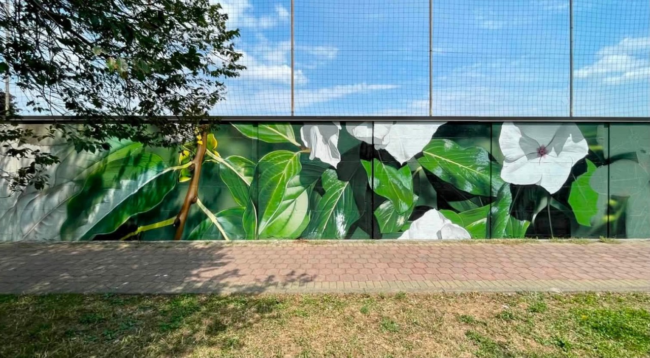 Antegnate, un murales per ricordare quattro amici scomparsi: “Insieme” è l’energia del paese