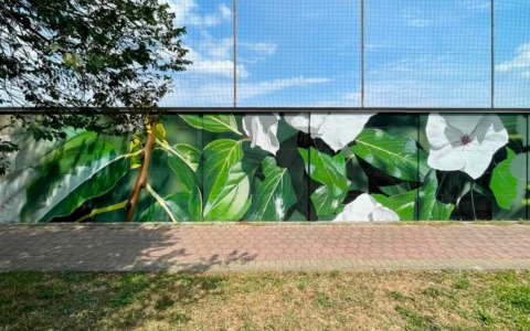 Antegnate, un murales per ricordare quattro amici scomparsi: “Insieme” è l’energia del paese
