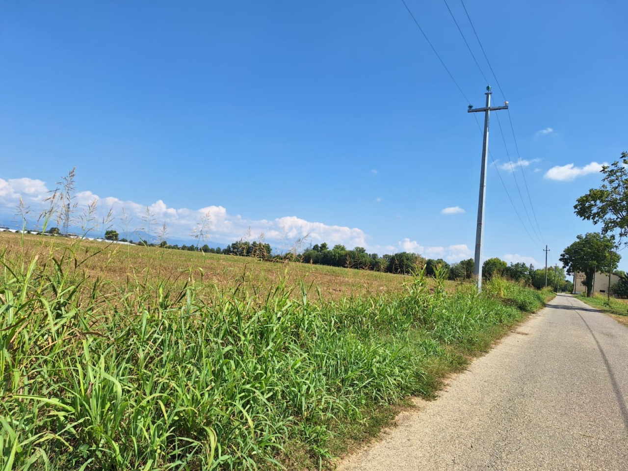 Mezzo agricolo urta un palo dell’alta tensione a Masano: passante colpito da un cavo