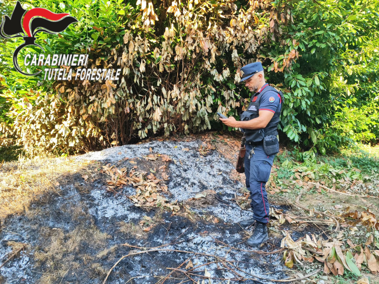 Emergenza clima e controlli a tappeto: l’agosto di fuoco dei carabinieri forestali bergamaschi