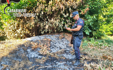 Emergenza clima e controlli a tappeto: l’agosto di fuoco dei carabinieri forestali bergamaschi