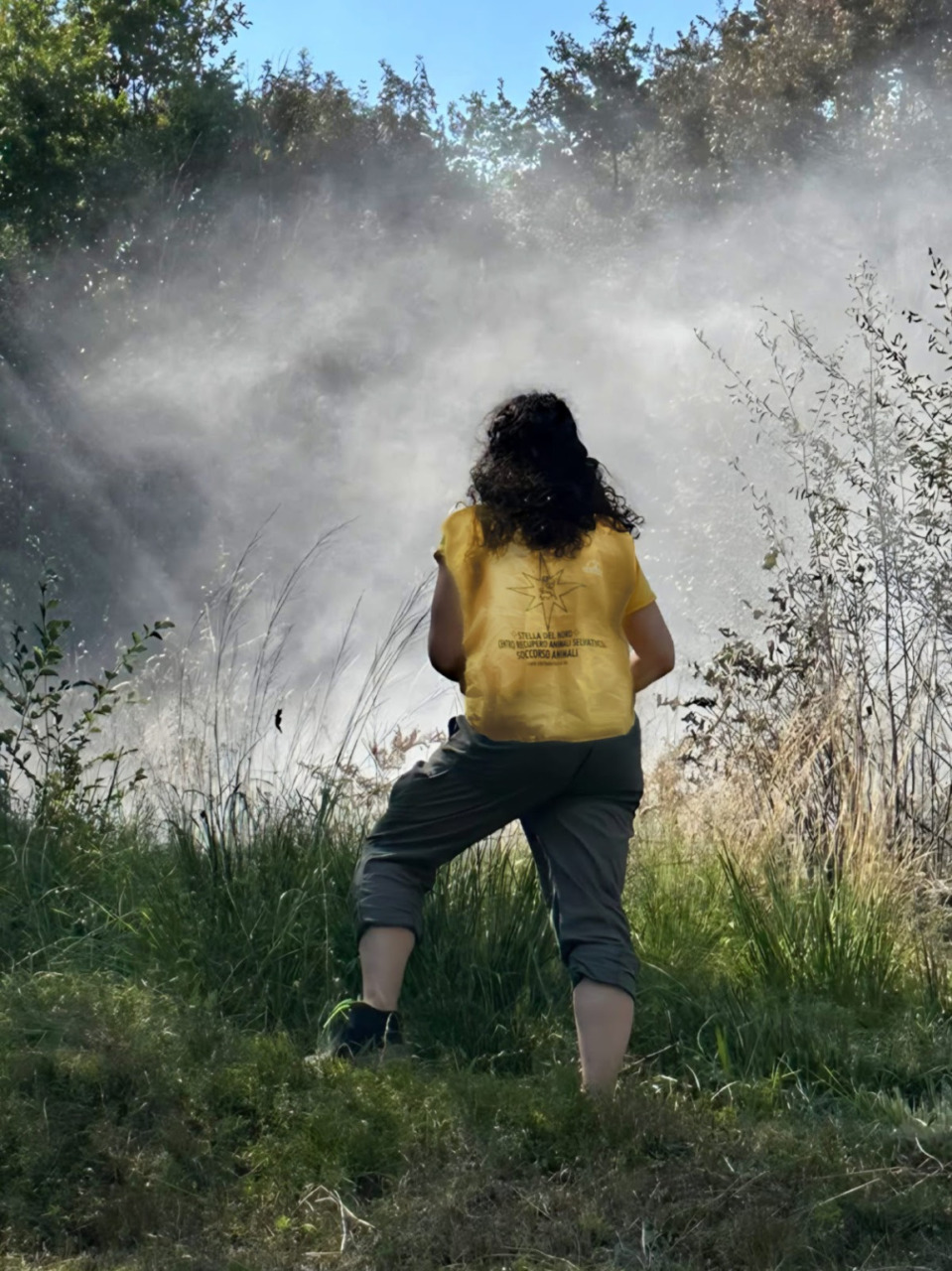 Incendi boschivi in Lombardia, codice arancione: massima allerta per caldo e nuovi roghi