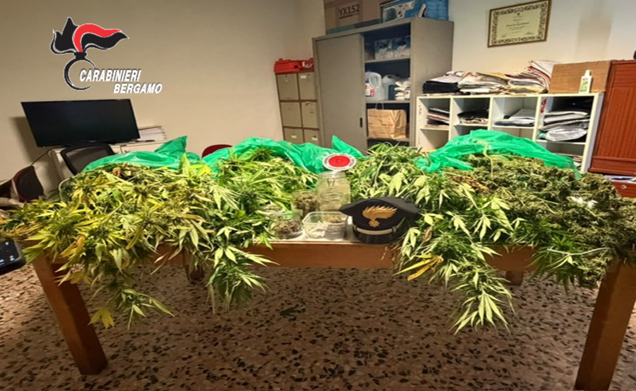 Traditi dall’odore di marijuana che usciva dalla loro casa, coppia denunciata