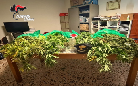 Traditi dall’odore di marijuana che usciva dalla loro casa, coppia denunciata