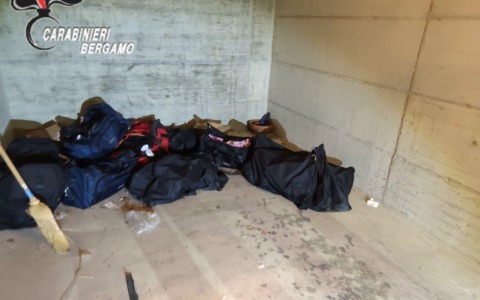 Insospettito dall’odore mentre passeggia col cane fa scoprire un maxi deposito di hashish: sequestrati 230 chili di droga