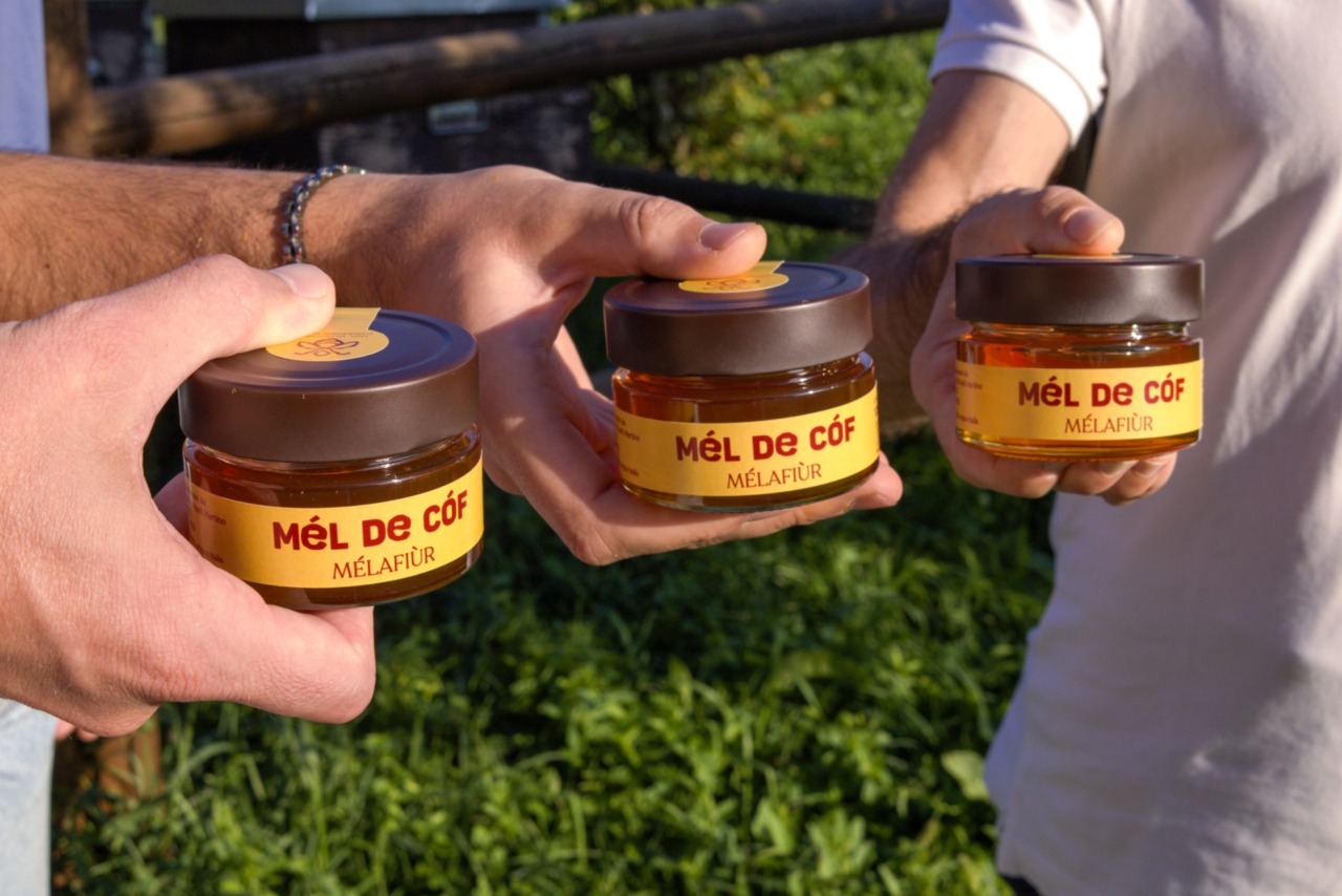Nasce il “Mél de Cóf”, il miele di Covo che riparte dopo i vandali