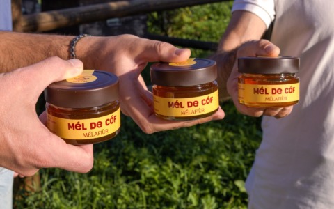 Nasce il “Mél de Cóf”, il miele di Covo che riparte dopo i vandali