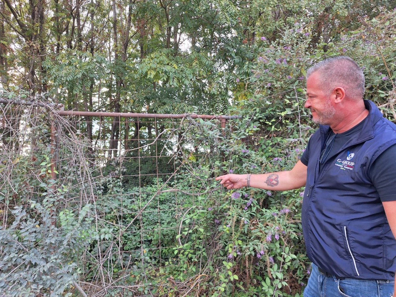 Furto di gasolio