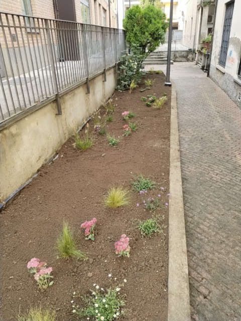 Adotta un'aiuola
